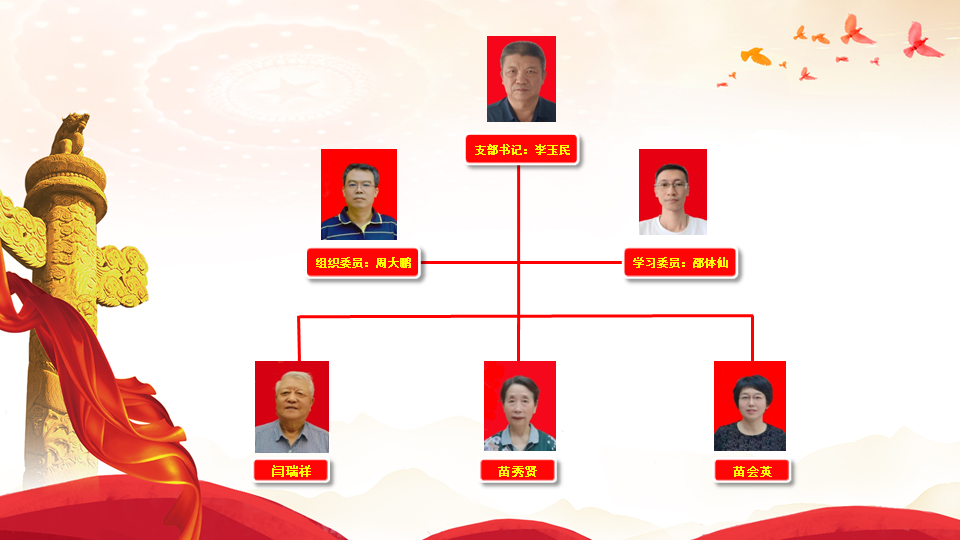 党支部组织机构图.png