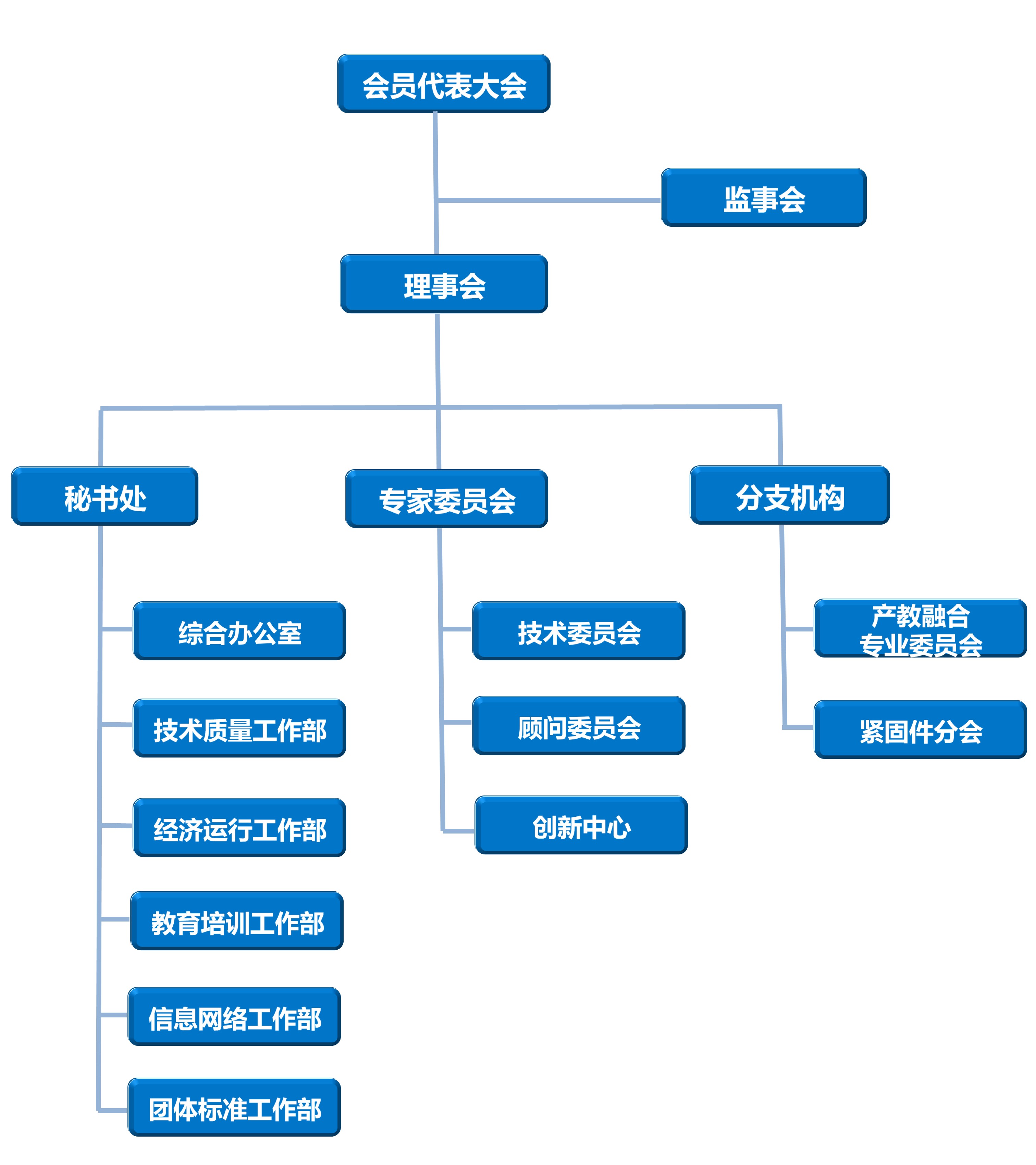 协会组织机构图.jpg